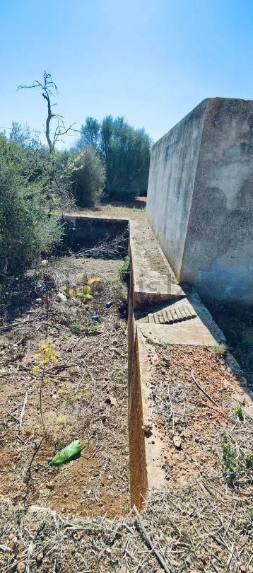 Una finca rústica para restaurar como un agroturismo por nueve millones de euros en Ibiza