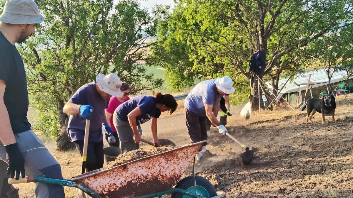 Trabajos arqueológicos en el yacimiento de El Viso