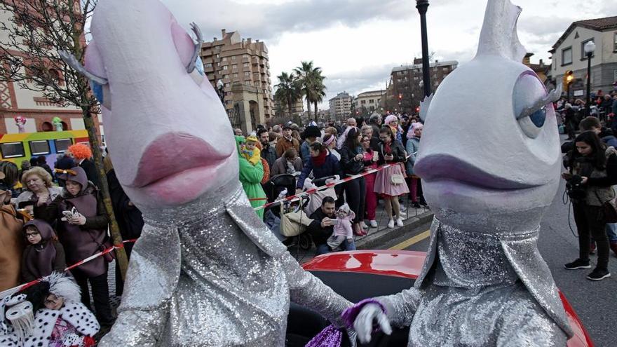 Sardinas Paca y Tola