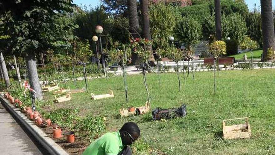 Un trabajador de Imesapi, en los jardines de La Rosaleda.