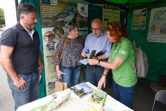 Feria Ecológica de Gran Canaria