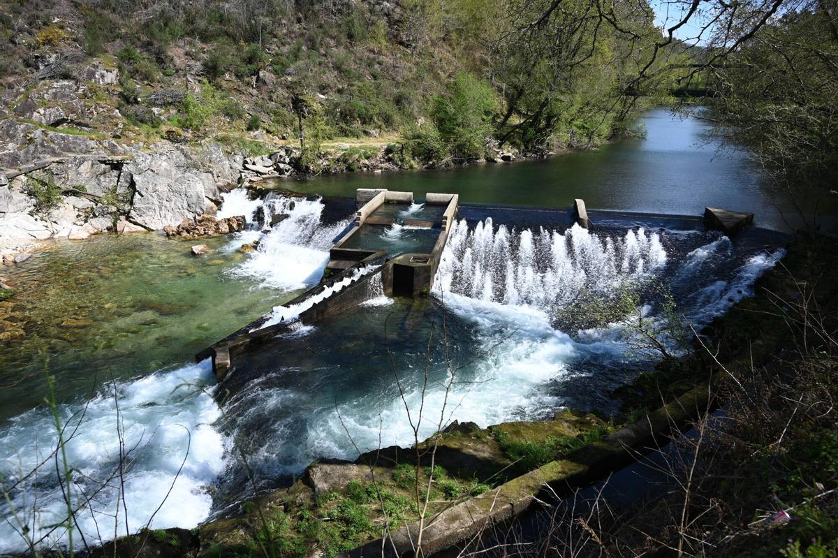PONTEVEDRA.Estado de la presa del río Lérez en Monte Porreiro