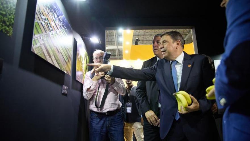 El ministro de Agricultura, Luis Planas, en la feria Fruit Attraction de Madrid.  | |