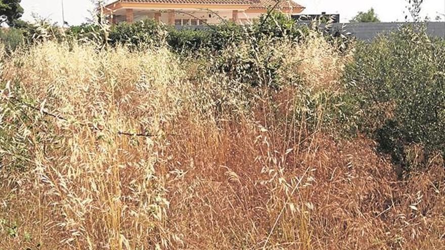 Vecinos del Madrigal alertan de que algunos solares son un «polvorín»