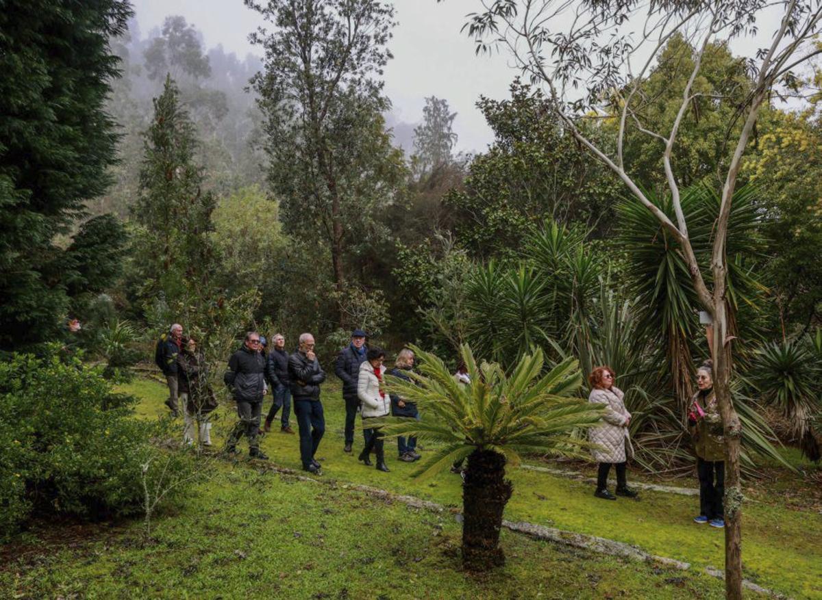 El jardín destaca por su diversidad con más de 800 especies. | IÑAKI ABELLA
