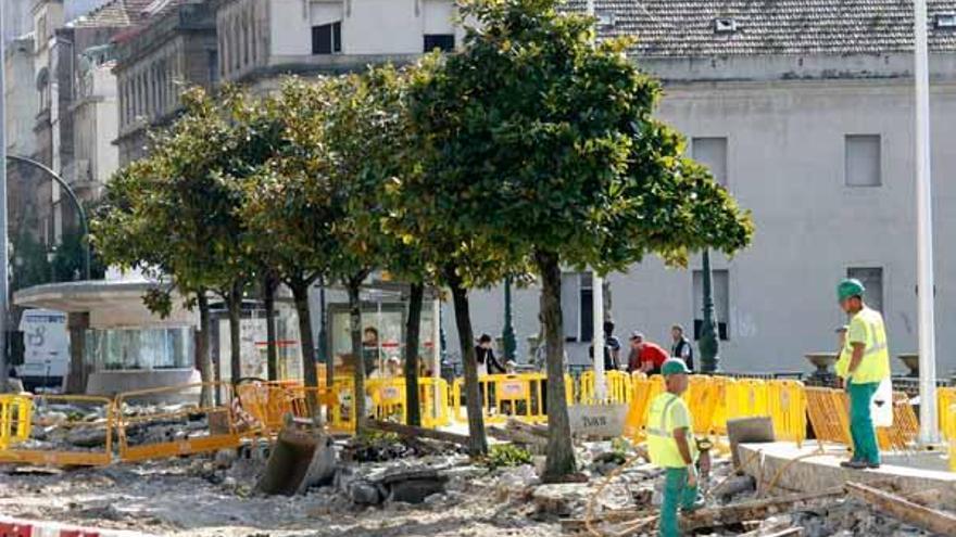 Imagen de los árboles que serán sustituidos por otros en el Paseo del Alfonso