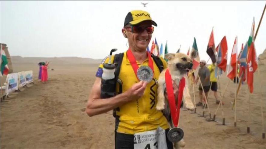 Gobi, la perrita callejera que siguió a un corredor durante cinco días en una maratón en China