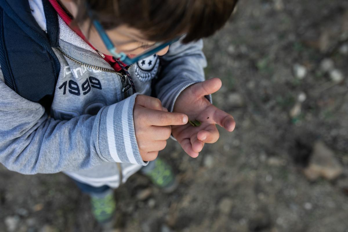 Un alumno de la escuela Sant Gregori, en pleno proceso de observación.