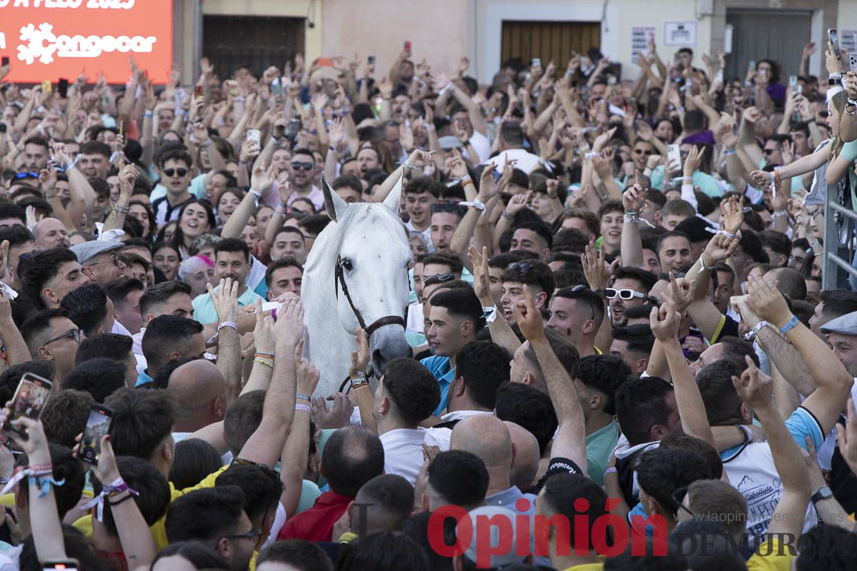 Fiestas de Caravaca | Entrega de premios del concurso morfológico
