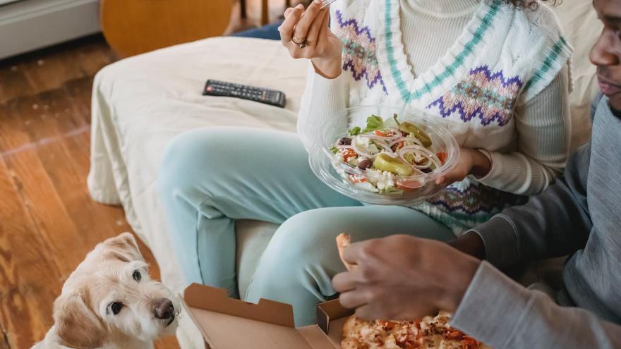 Diez alimentos que nunca deben comer nuestros perros y gatos