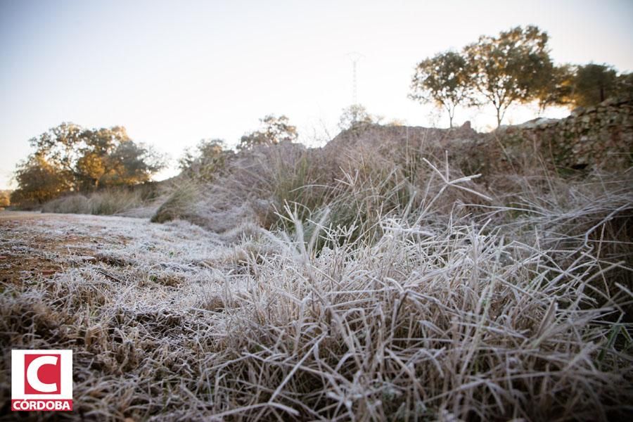 Fotogalería / La ola de frío polar alcanza Córdoba y provincia