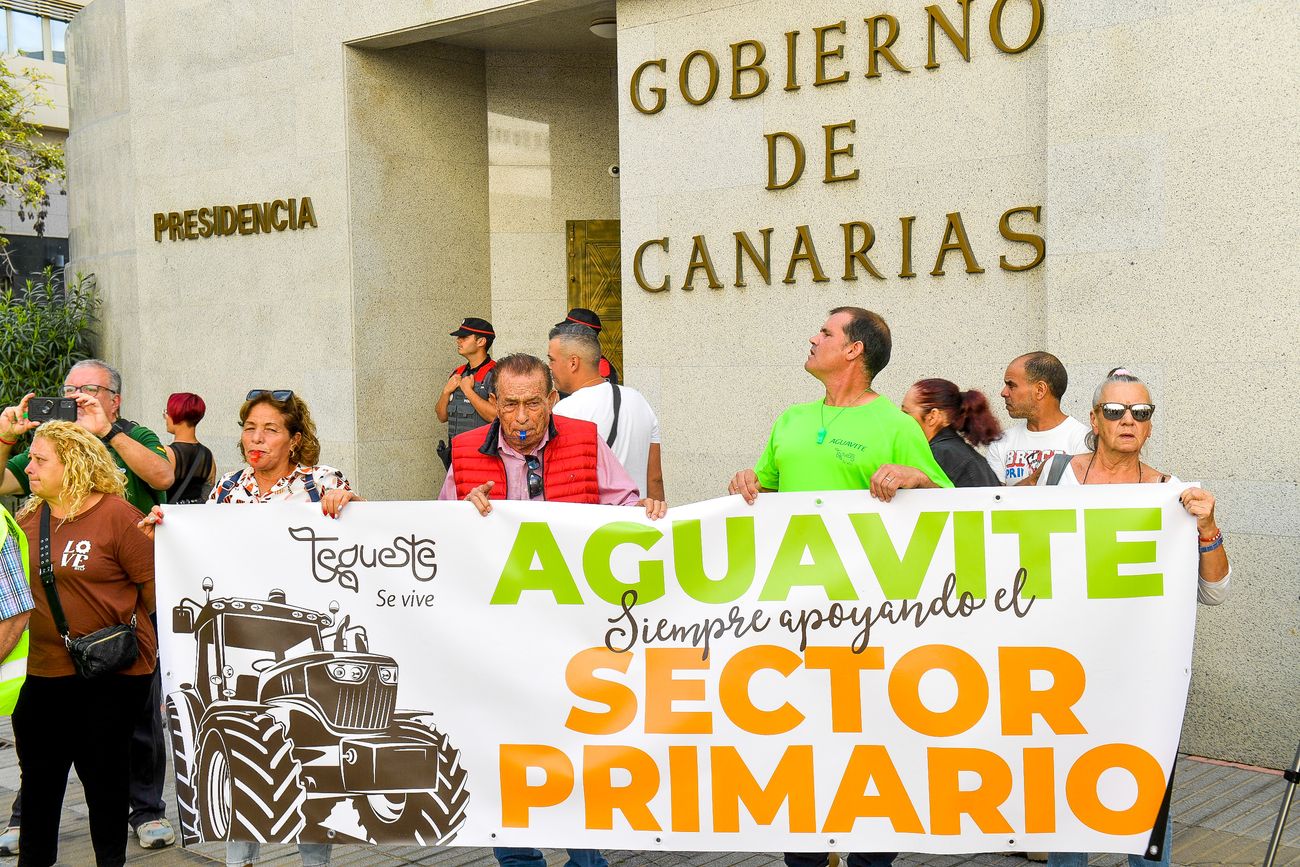 Tractorada del sector primario en Las Palmas de Gran Canaria (21/02/24)