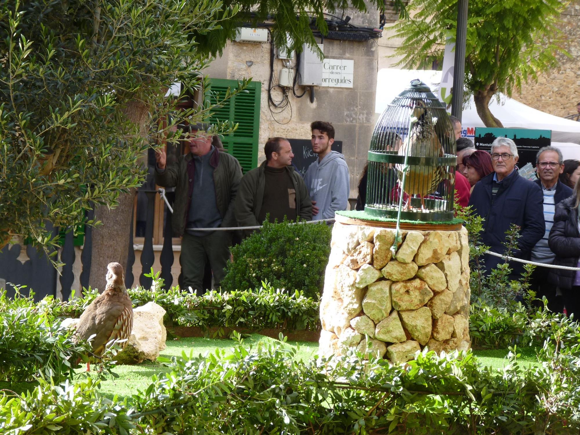 El canto de la perdiz, gran protagonista en la Fira de Montuïri