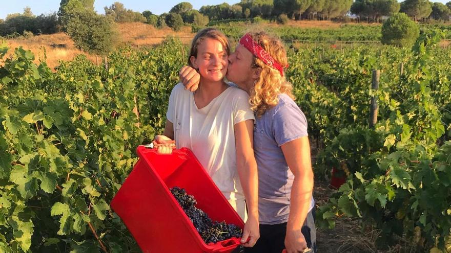 Los holandeses que compraron viñedos en Girona con un &#039;crowdfunding&#039; y ahora llevan sus vinos a Escandinavia