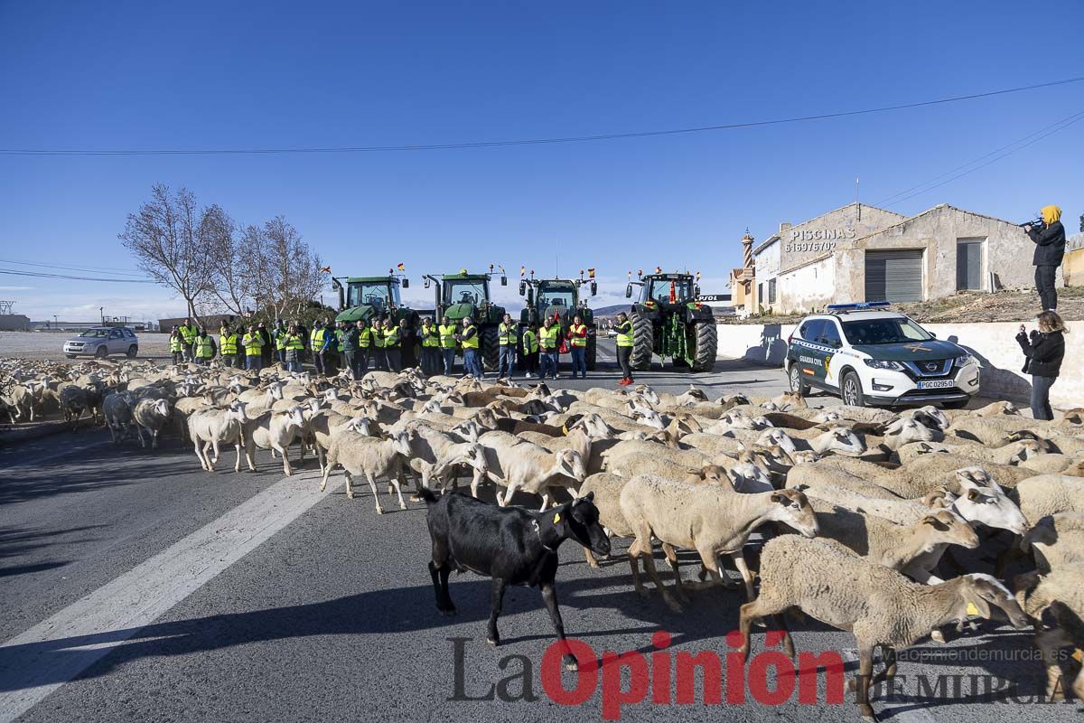 Manifestaciones de agricultores en Caravaca