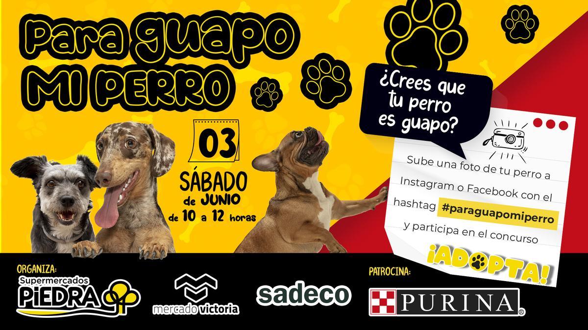 Supermercados Piedra y Mercado Victoria buscan al perro más guapo de Córdoba.