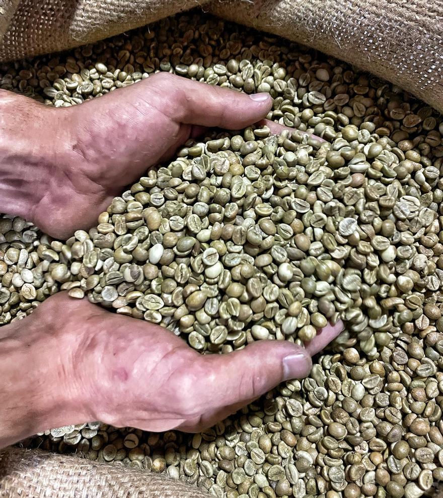 Lo primero que buscamos es la calidad del grano y, de la extensa producción mundial de café verde