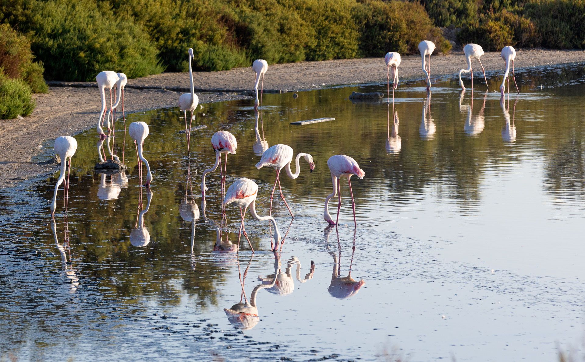 Un parque natural muy vivo