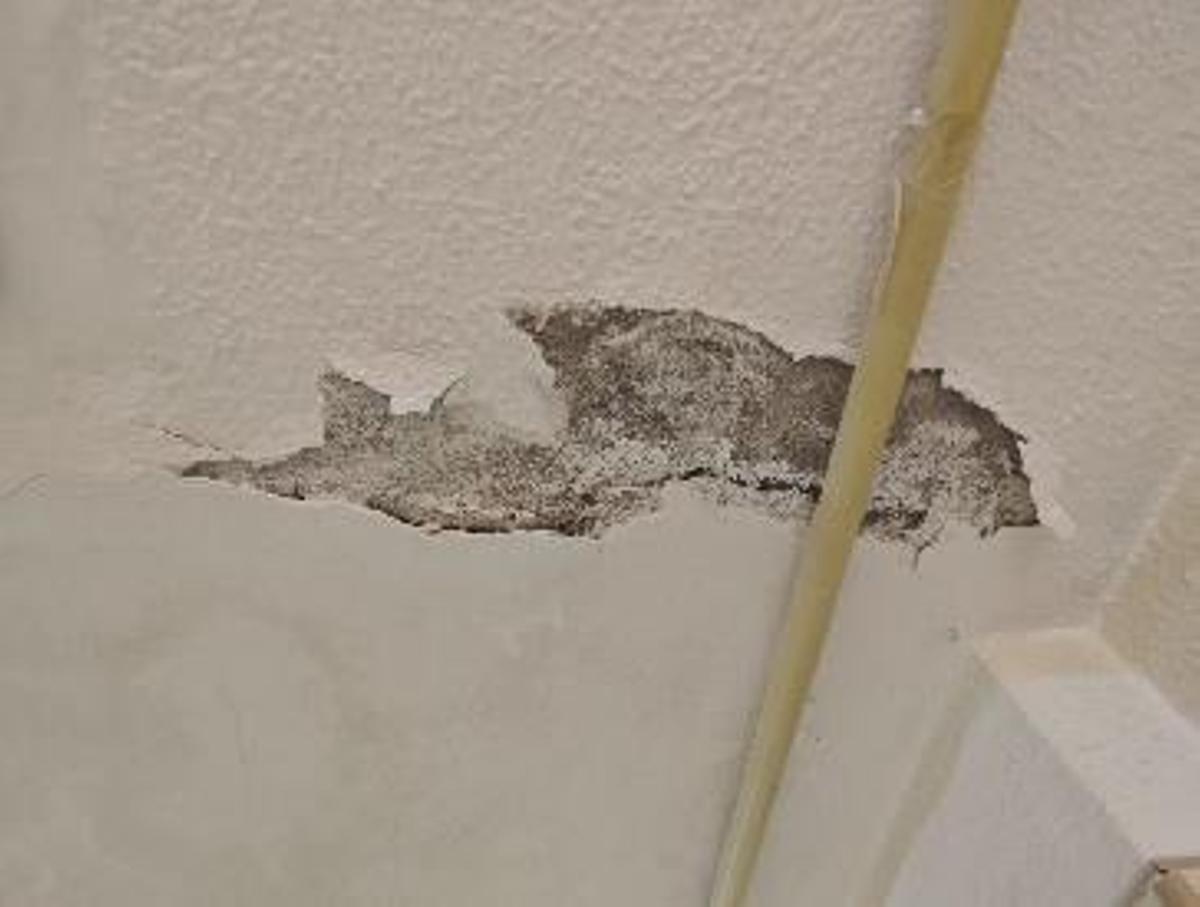 Así están el colegio Virgen de la Puerta y el CEE Antonio Sequeros de Orihuela