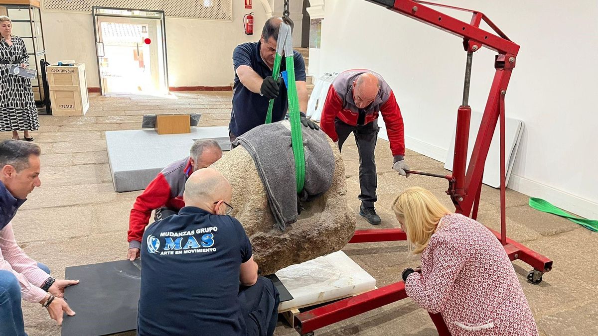 Un verraco en el Museo de Cáceres