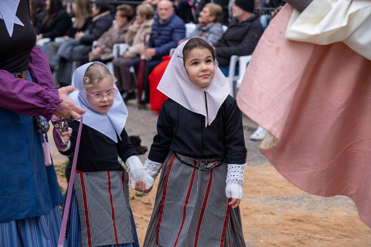 So eindrucksvoll waren die Tiersegnungen zu Sant Antoni 2026 in Muro