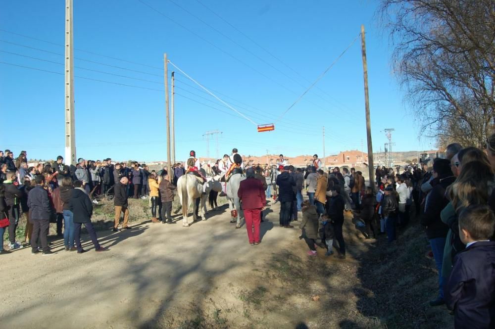 Carrera de cintas en Coreses (2018)