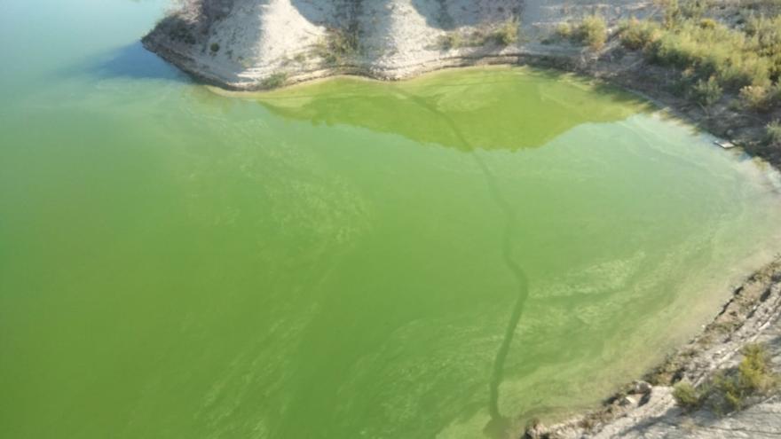 Proliferación de algas en el embalse del Judío de Cieza