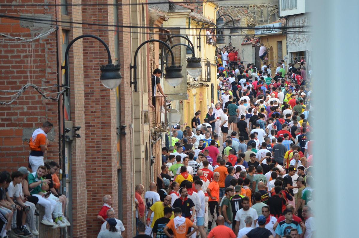 Así fue el recorrido del Toro Enmaromado Glorificado, por las calles de Benavente Así fue el recorrido del Toro Enmaromado Glorificado, por las calles de Benavente