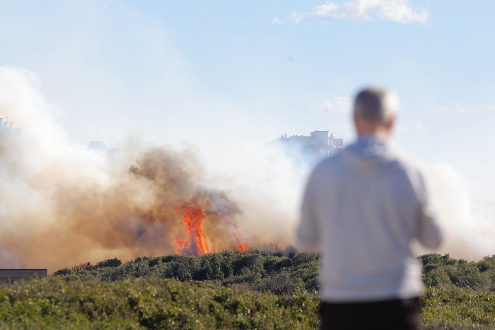 Declarado un incendio en el Saler