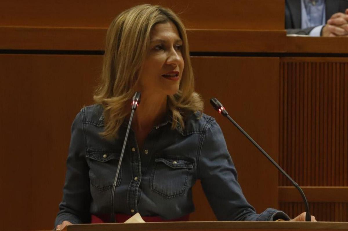 Mar Vaquero, en la tribuna de oradores de las Cortes de Aragón.