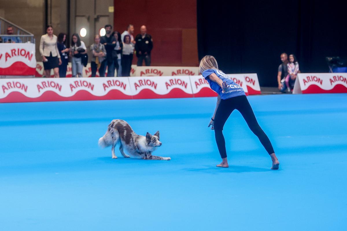 Mad Dog Show: fiebre por los perros en Madrid