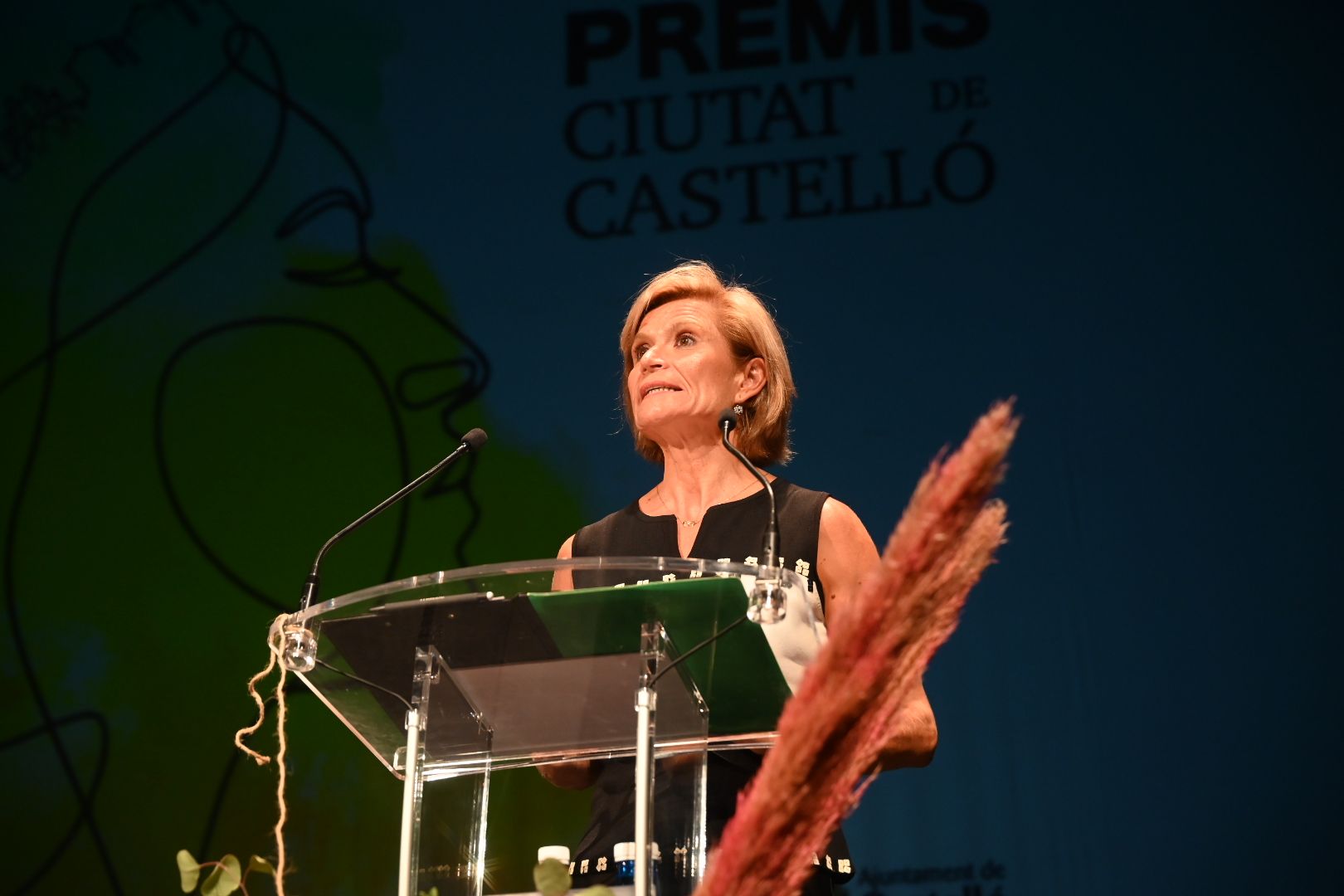 Las mejores imágenes de los premios Ciutat de Castelló