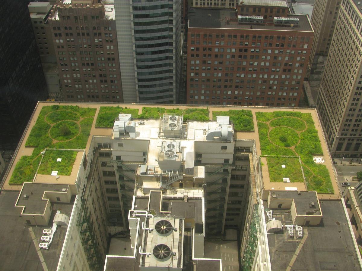 Techo verde de Chicago City Hall, Illinois. TonyTheTiger