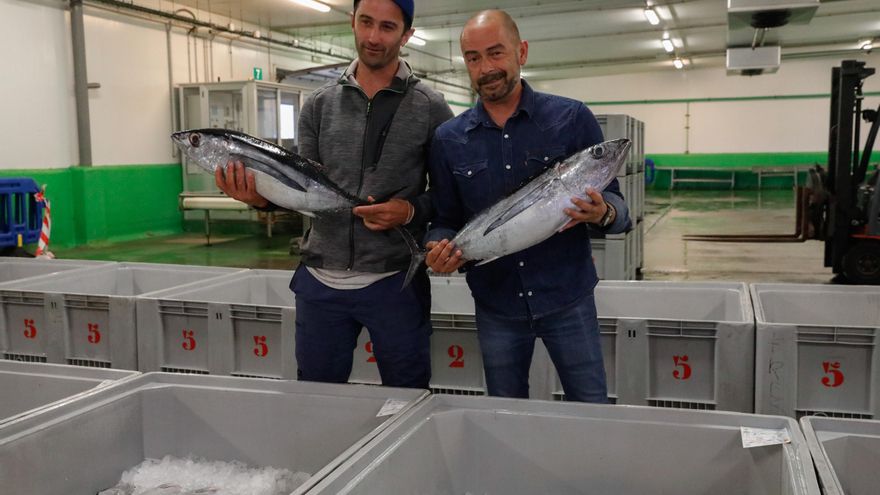El nuevo «rey del bonito» vende las primeras capturas al precio récord de 369 euros el kilo