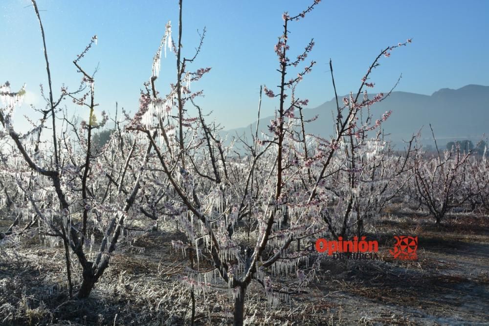 Helada en Cieza 9 de febrero de 2018