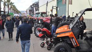 Vall d’Alba reivindica con la Fira la importancia de consumir los productos de proximidad