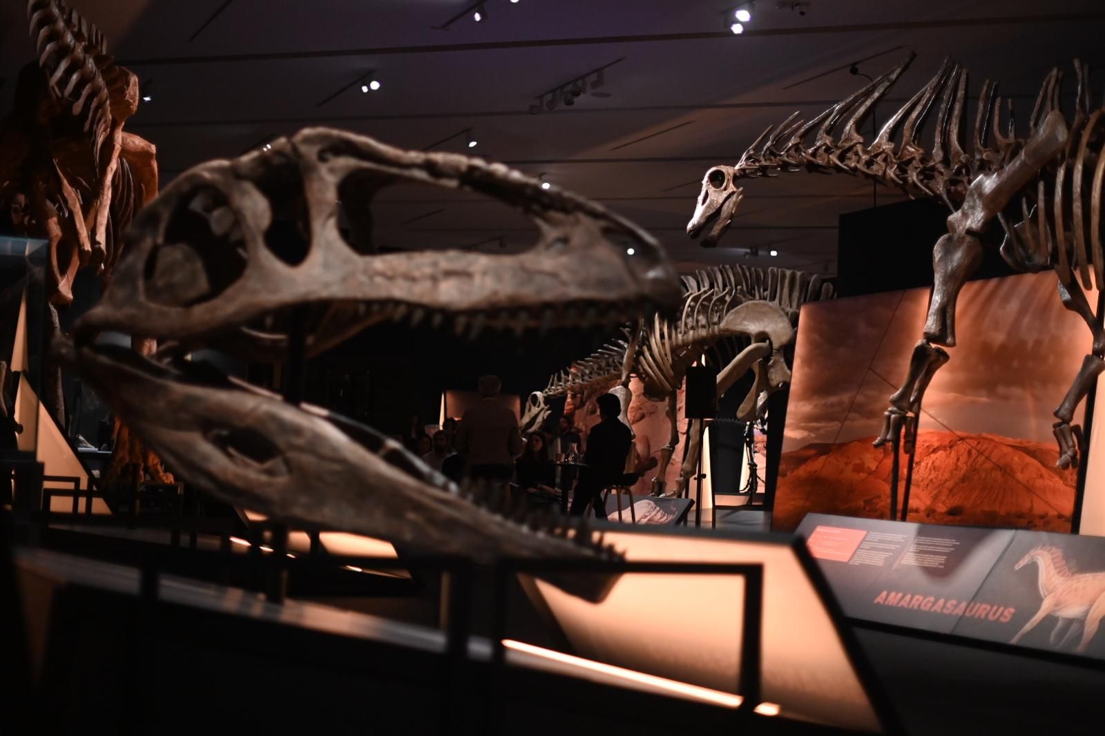 En imágenes | El dinosaurio más grande conocido conquista el Caixaforum de Zaragoza