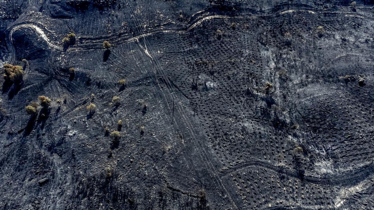 Terreno arrasado por el fuego en As Chás, en Oímbra.