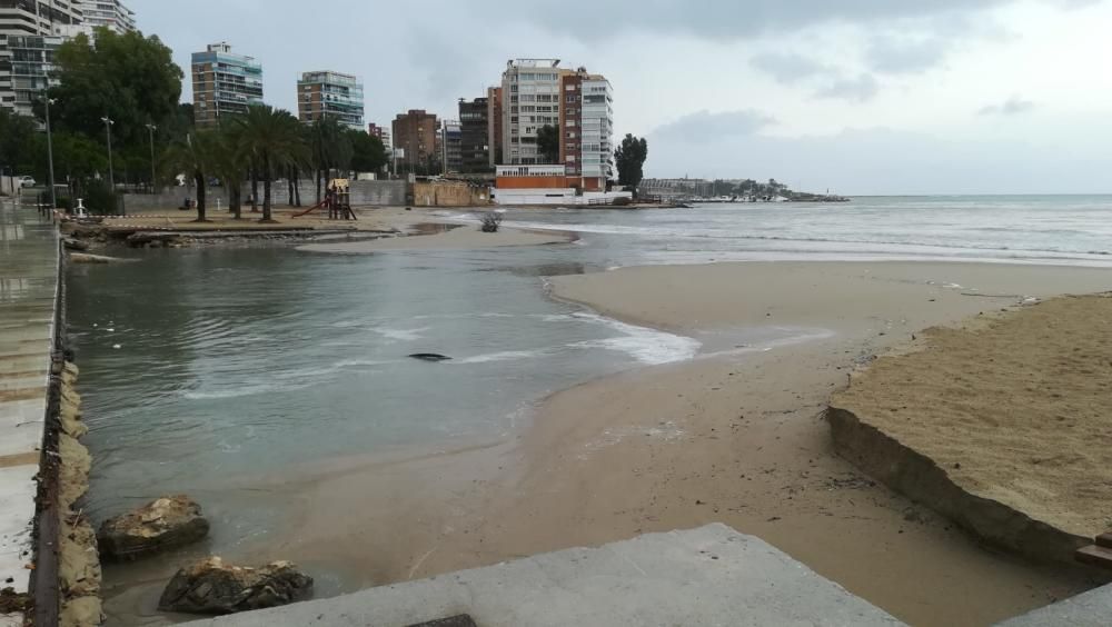 Estado en el que han quedado las playas de Alicante