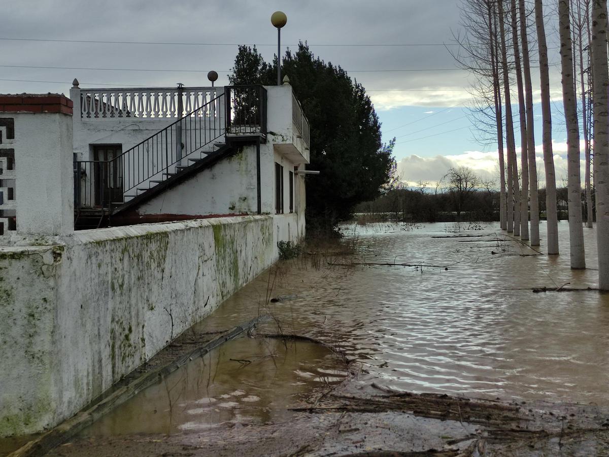 GALERÍA / El río Órbigo desbordado en Benavente, en imágenes GALERÍA / El río Órbigo desbordado en Benavente, en imágenes