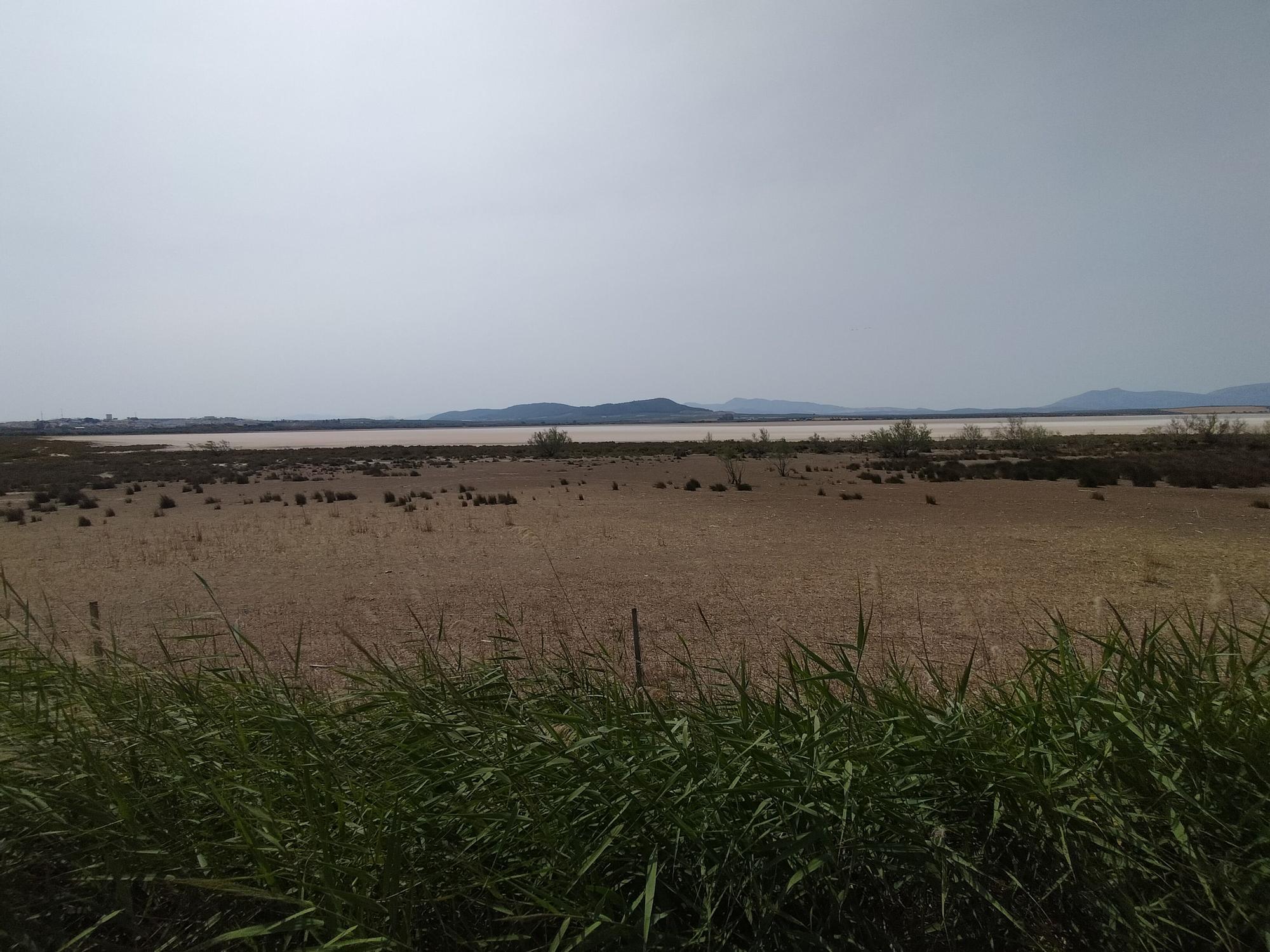 La laguna de Fuente de Piedra