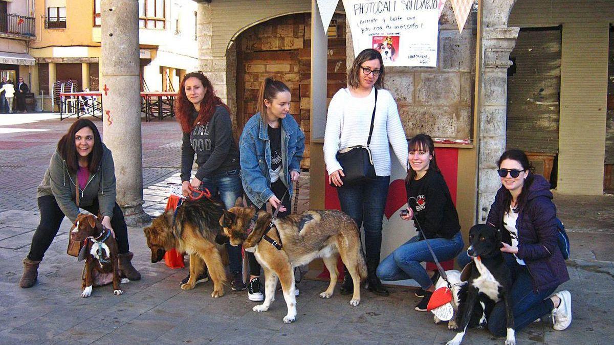 Voluntarias de la asociación posan con varios animales en un photocall solidario celebrado en Toro.