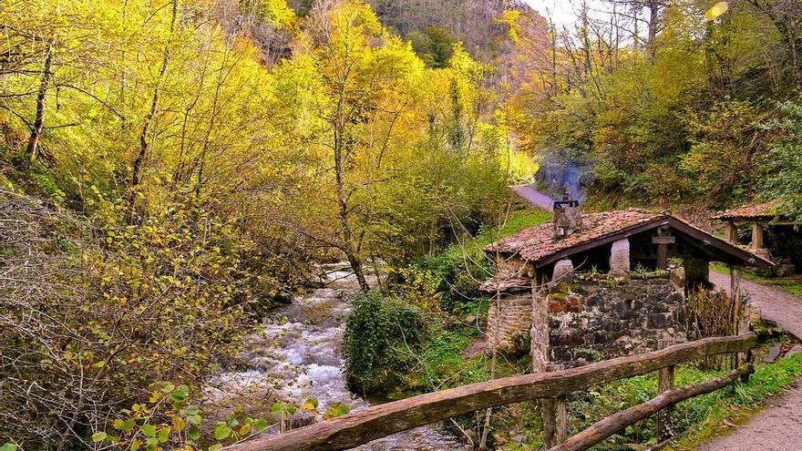 Ruta de los Arrudos y el Hayedo de los Arrebellaos, uno de los espectaculares cañones fluviales en Asturias