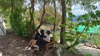 Alcoy cierra el curso escolar con 5.000 participantes en las actividades de educación ambiental