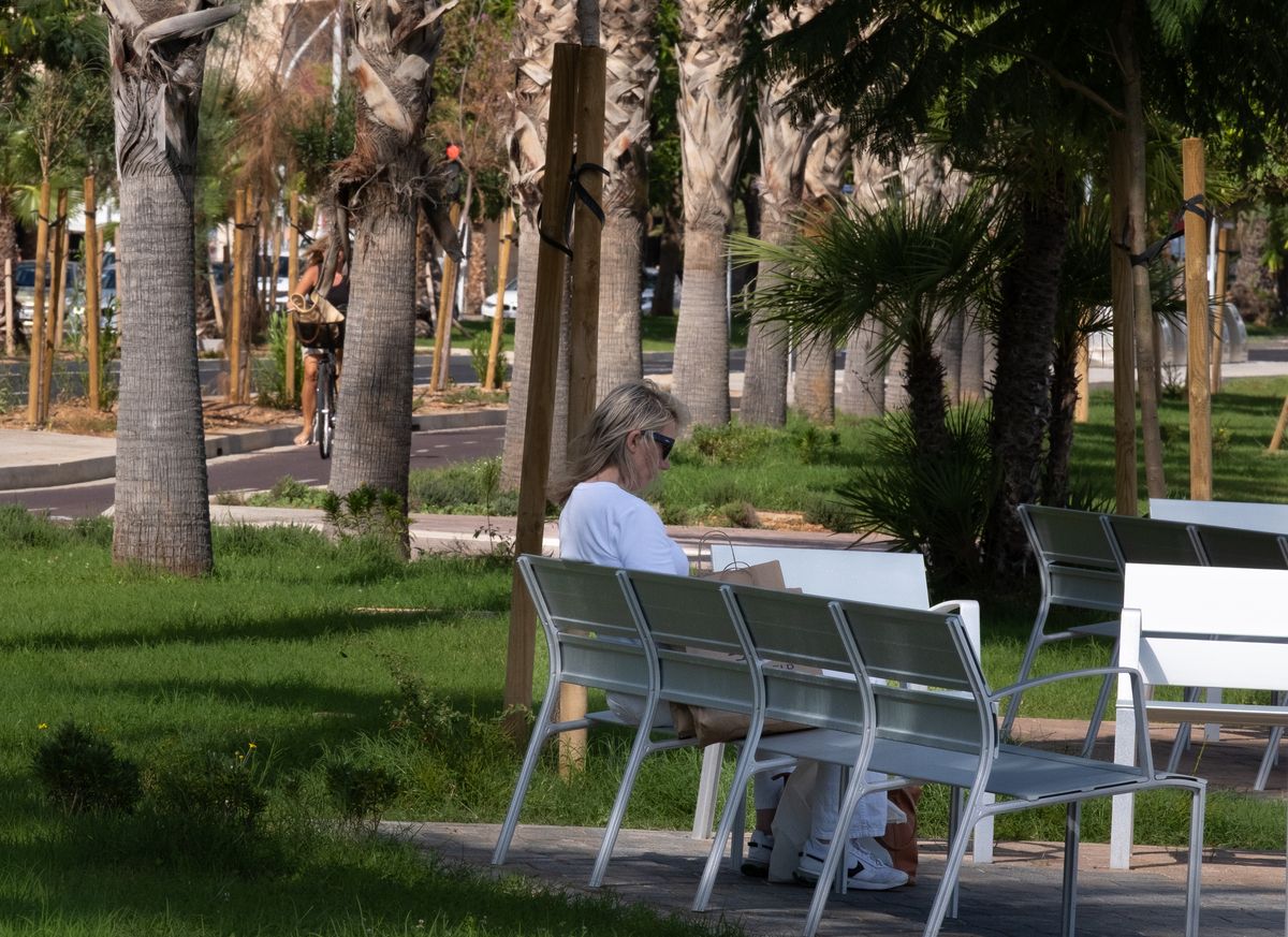 Las fotos del nuevo jardín interior del Paseo Marítimo de Palma