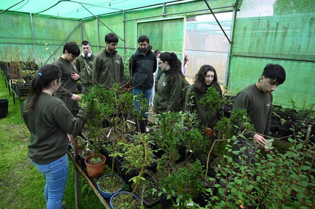 Alumnos del Centro de Formación e Experimentación Agroforestal de Lourizán