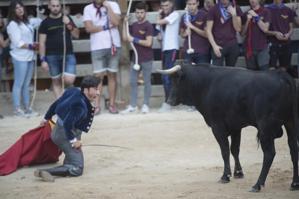 Corre de bou de diumenge a Cardona