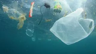 Francesca Santoro: "La contaminación de plásticos en el mar es ya un problema de salud"