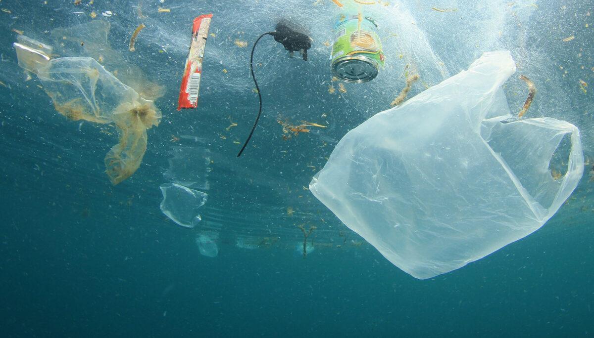 Día Mundial de los Océanos: ocho millones de toneladas de plástico al mar cada año Día Mundial de los Océanos: ocho millones de toneladas de plástico al mar cada año