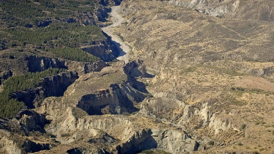 España es el segundo ‘bosque’ más grande de Europa, pero cada vez más árido